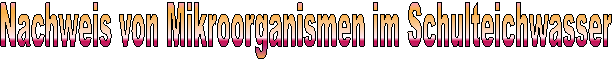 Nachweis von Mikroorganismen im Schulteichwasser