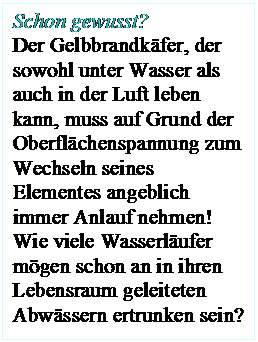 Textfeld: Schon gewusst?
Der Gelbbrandkäfer, der sowohl unter Wasser als auch in der Luft leben kann, muss auf Grund der Oberflächenspannung zum Wechseln seines Elementes angeblich immer Anlauf nehmen!
Wie viele Wasserläufer mögen schon an in ihren Lebensraum geleiteten Abwässern ertrunken sein?