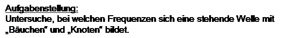 Textfeld: Aufgabenstellung:
Untersuche, bei welchen Frequenzen sich eine stehende Welle mit Buchen und Knoten bildet.
